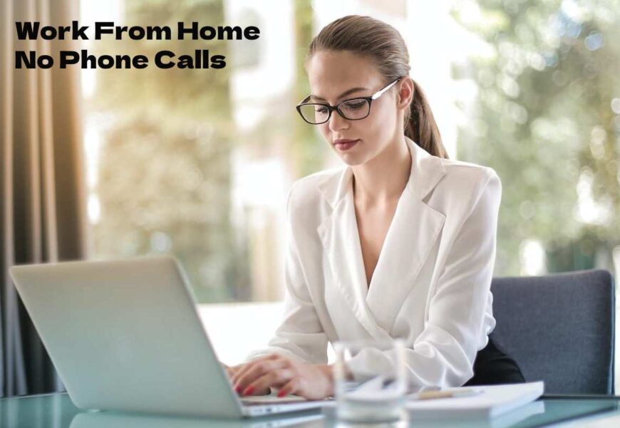 Work From Home No Phone Calls